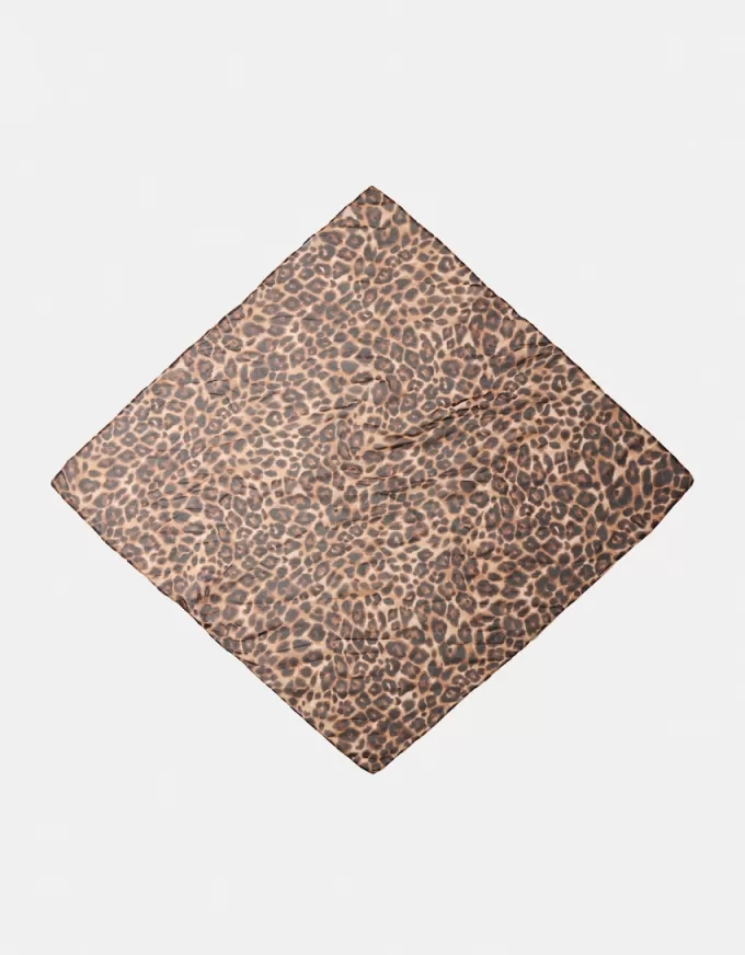 Animal print scarf