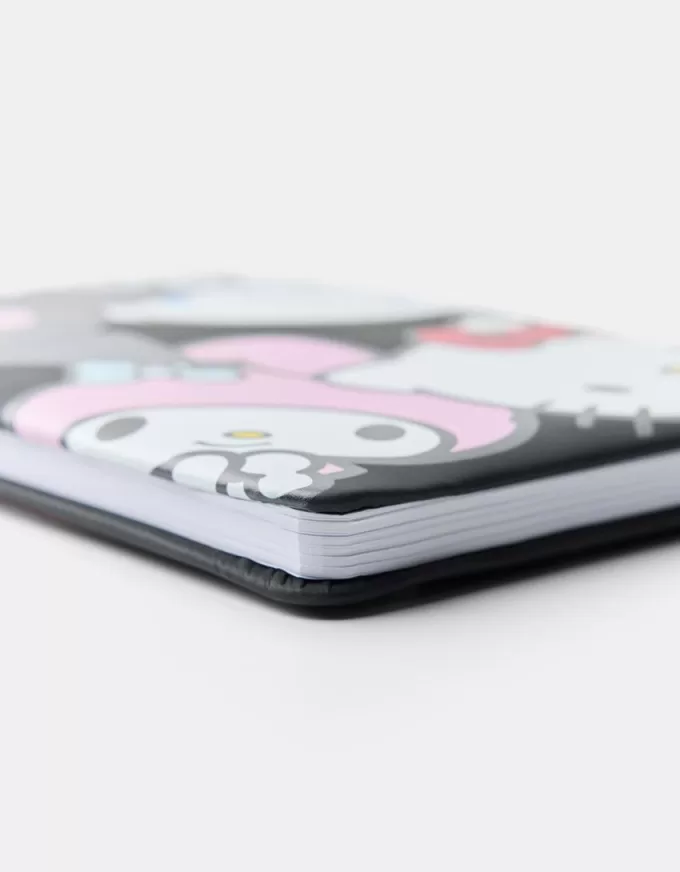 Pack of Hello Kitty and Friends notebooks