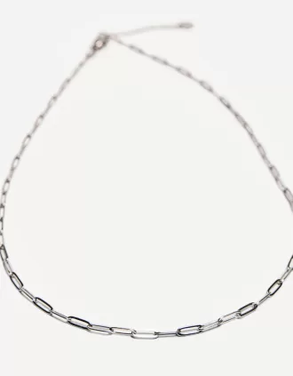 Steel chain with chain link