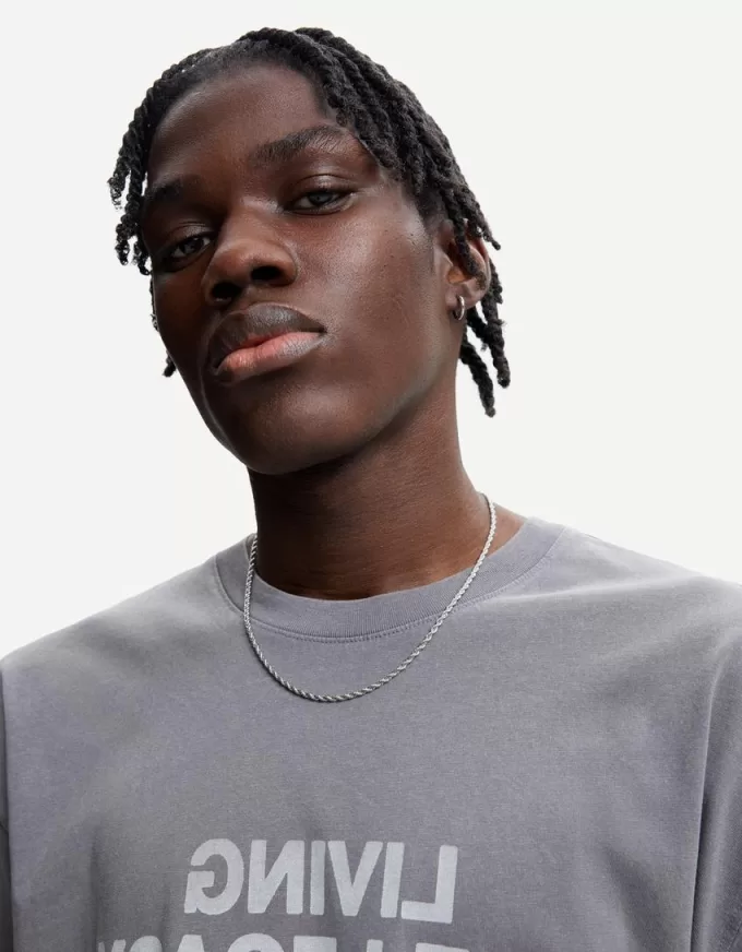 Twisted steel chain Twisted steel chain